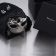 Kép 3/5 - Buster+Punch Skull Bowl fényes króm koponya tál / Travis Barker / UTB-071833