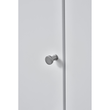 Kép 3/3 - Furnipart Gate inox hatású bútorgomb 549820018-66