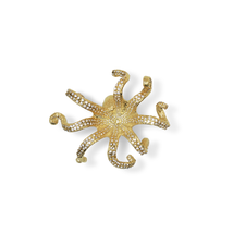 Pullcast Octo