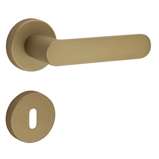 Maestro Shape